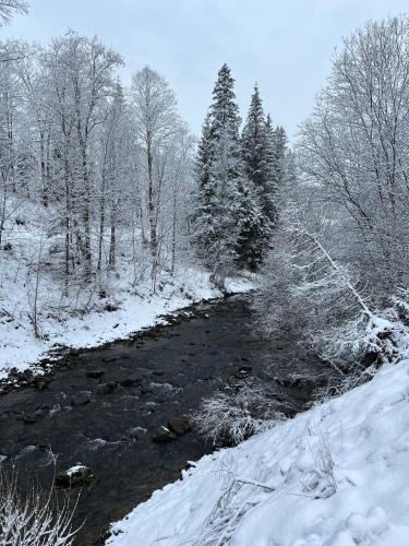 a river with snow on the ground and trees at WELLNESS Chalet OXY in Ždiar