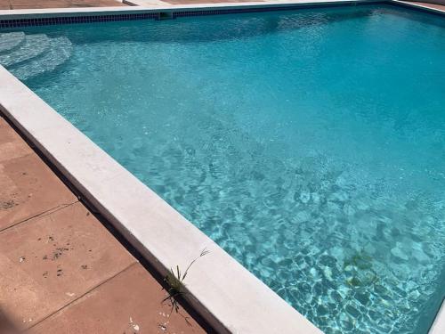 a large pool of blue water next to a sidewalk at Saunders Beach Manor and Pool in Nassau