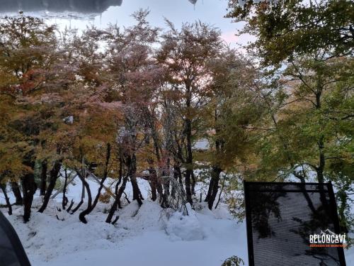 a group of trees in the snow with a sign at Ruka Lee II Las Trancas - Refugios de Montaña Reloncaví - Factura Inmediata in Nevados de Chillan