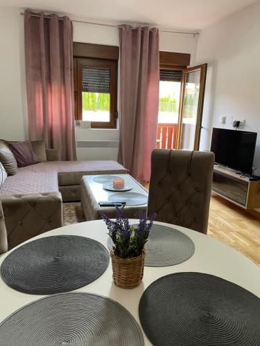 TV a/nebo společenská místnost v ubytování Apartman Bulatovic