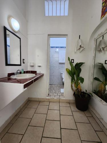 a bathroom with a sink and a toilet and a shower at Alexandross in Puerto Vallarta