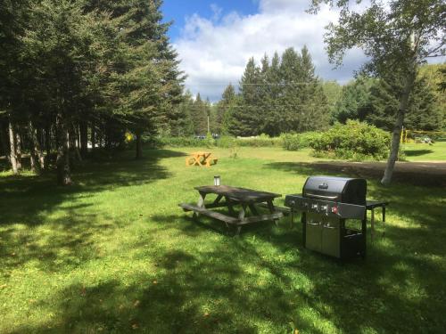 a picnic table and a grill in a field at Le Relais des Hautes Gorges in Saint Aime Des Lacs