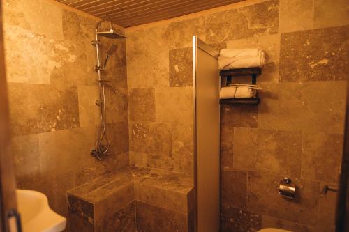a bathroom with a shower and a toilet at İsadora Cave Cappadocia in Nevsehir