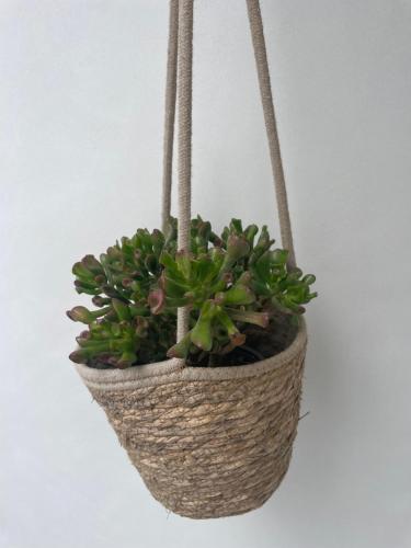 Photo de la galerie de l'établissement Casa ré, au Bois-Plage-en-Ré