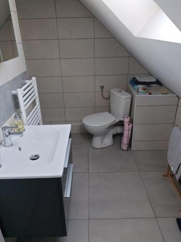 une salle de bain blanche avec des toilettes et un lavabo dans l'établissement Appartement Sierentz, à Sierentz