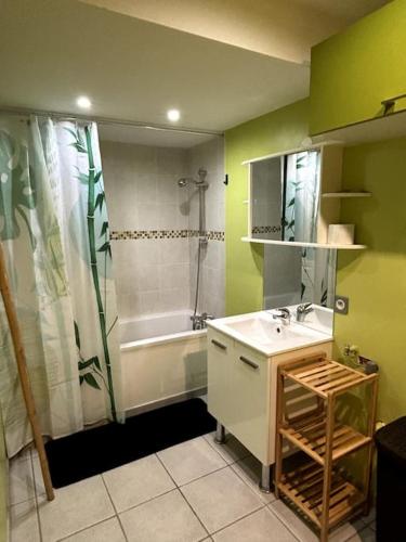 une salle de bain avec un lavabo, une douche et une baignoire dans l'établissement Le Petit Ardennais, à Charleville-Mézières