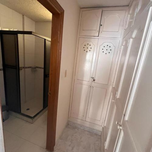 RodaderoEdificio MARBAGUERI的带淋浴的浴室和白色门