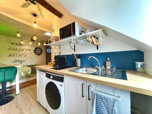 une cuisine avec un évier et une machine à laver dans l'établissement Studio La Jungle bellifontaine, à Fontainebleau