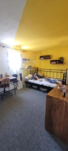 DUPLEX INTRA-MUROS calme & spacieux près du Palais des Papes