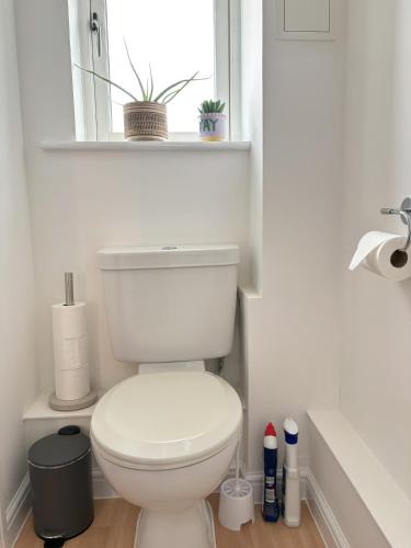 a white bathroom with a toilet and a window at Delight Marvel-Waltham Place - Ashford in Ashford