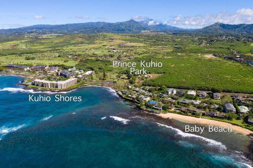 an aerial view of the island of prince kuanakino park and kuna at Prince Kuhio 110 in Koloa