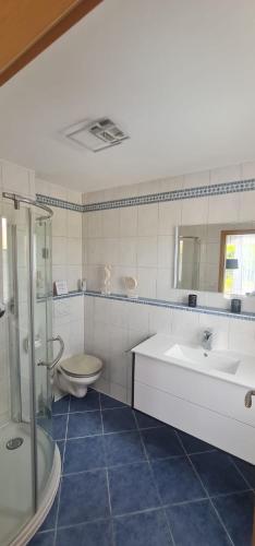 a bathroom with a toilet and a sink and a shower at Ferienwohnung Illertal in Unteropfingen