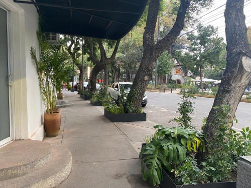 Zahrada ubytování Casa Corp Boutique Suites in Condesa