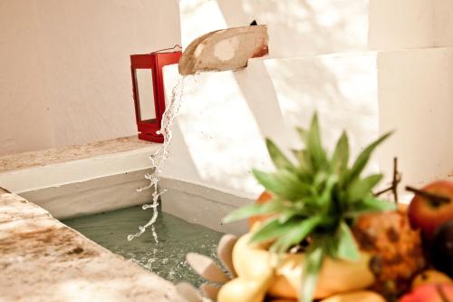 a potted plant sitting on top of a counter at Casas de Juromenha in Juromenha