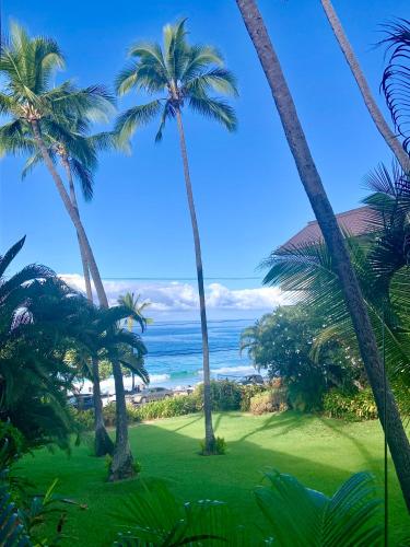 a group of palm trees and the ocean at Direct oceanfront Magic Sands beach condo - Pool, AC, 2B2B, sleeps 6 in Kailua-Kona