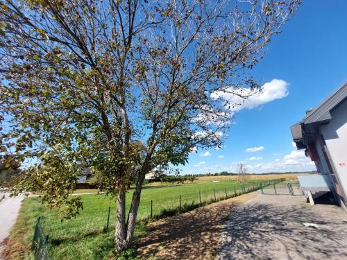 Fotografie z fotogalerie ubytování 3 JABLANE apartmaji v destinaci Beltinci