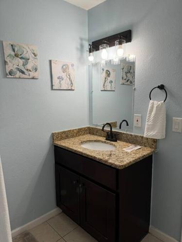 a bathroom with a sink and a mirror at Florida Paradise in Lakeland