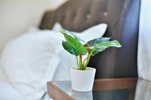 a plant in a white vase on a table at アキラ商事 in Tokyo