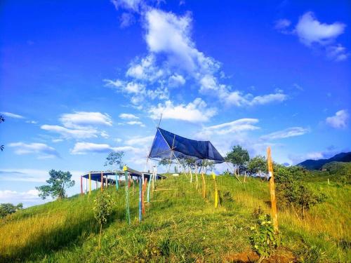 a group of blue umbrellas on a grassy hill at Finca El Mirador - Agroturismo in Rivera