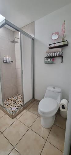 a bathroom with a white toilet and a shower at La ideal Alberca climatizada in Tlayacapan