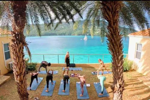 Гости Sailfish Villa Luxury Beachfront Estate Magens Bay