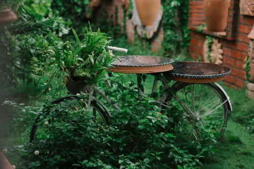 a bike with two baskets and a plant on it at Mekong Pottery Homestay, Green-Friendly & Boat Tour in Vĩnh Long