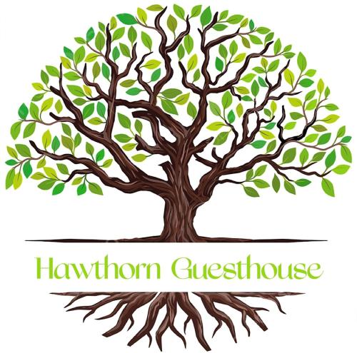 a drawing of a tree with leaves and roots at Hawtհorn Guestհouse in Cambridge