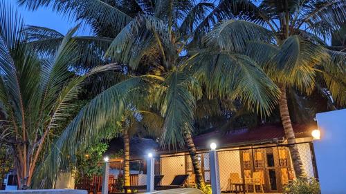 Fotografie z fotogalerie ubytování kingfish villa and restaurant v destinaci Ranna