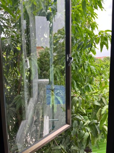 a window with a view of a tree at Por Chey Guesthouse in Battambang