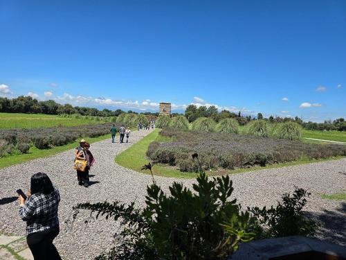a woman taking a picture of people walking on a path at Michelangelo Master: El Renacimiento en Val'Quirico in Santeagueda