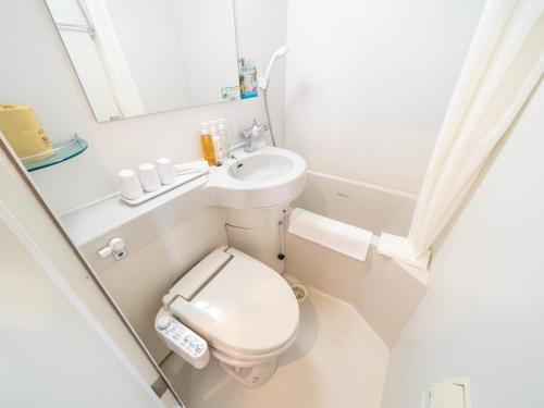 a small bathroom with a toilet and a sink at Super Hotel Ueno-Okachimachi in Tokyo