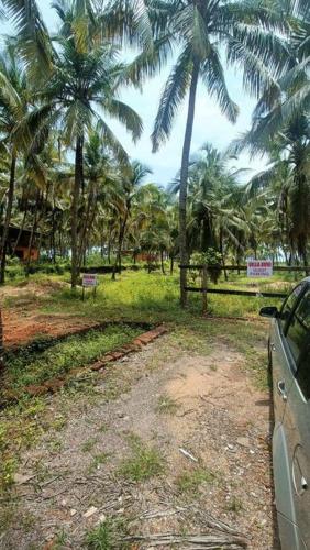 a car parked in a field with palm trees at Villa Avni, a beach side family retreat, Homestay in Nīleshwar