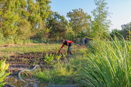 a man working in a field next to a pond at Taman Bidadari Eco Wellness in Pemuteran