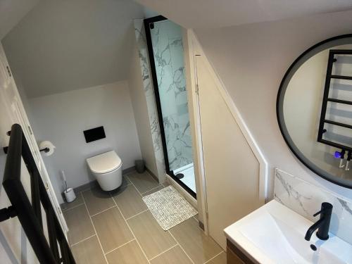 a bathroom with a toilet and a mirror at 12 Clos Yr Wylan in Barry