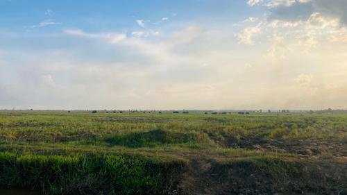a field with grass and a cloudy sky at The Baysura Arugambay in Arugam Bay