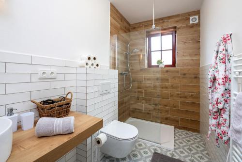a bathroom with a toilet and a shower at Apartmány Pernek in Horní Planá