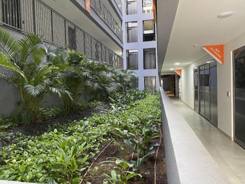 an office building with plants in a courtyard at Studio com Varanda a 100 metros da praia in Tambaú