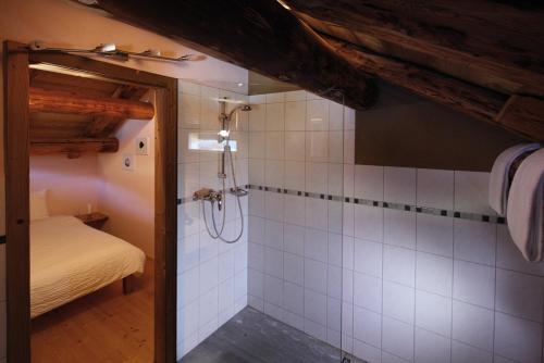 a bathroom with a shower and a bed in a room at Chalets Casa da Luzi in Surcasti