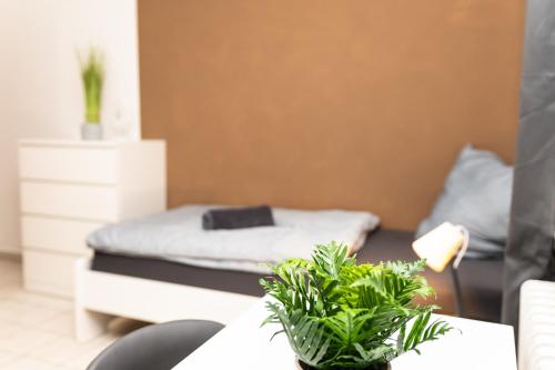 a room with two beds and a table with plants at CosyHomes24 - Centrally with parking space - HA01 in Hagen