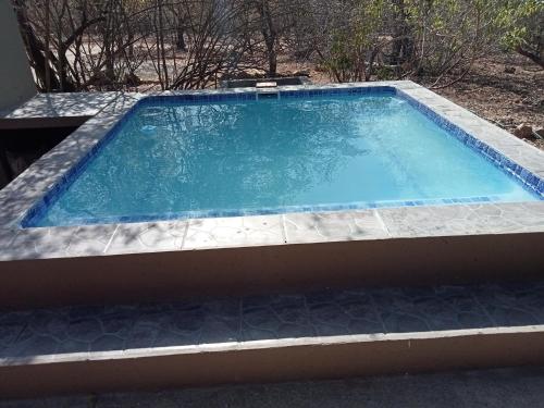 a large swimming pool with a stonevisor around it at Le Lion Dort in Marloth Park