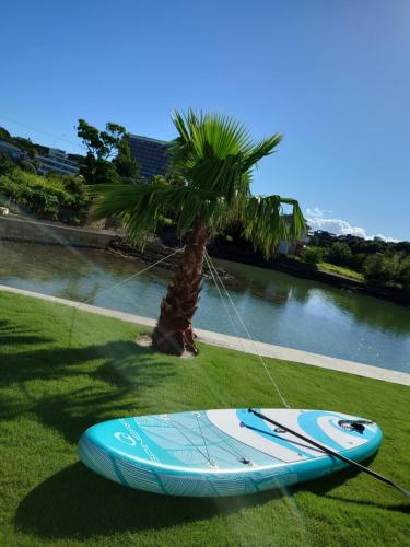 a surfboard on the grass next to a palm tree at 栗山さん家のアロハミエント in Shirahama