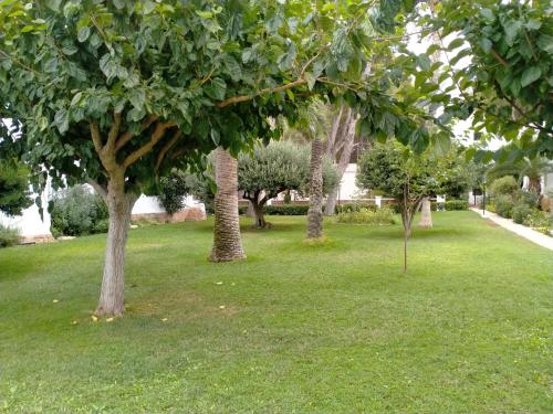 Κήπος έξω από το ESTUDIO EN TRES CARABELAS, PLAYA LAS FUENTES