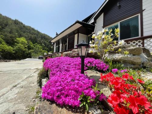 Taman di luar Yangyang Dalpaengi Pension