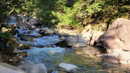 a stream of water with rocks and trees at Sokcho Floating Whale Seorak Dojeok Waterfall Stay in Inje