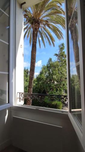 - une fenêtre avec un palmier dans la chambre dans l'établissement Studio rénové, vue dégagée et arborée, 700m plage, à Cannes