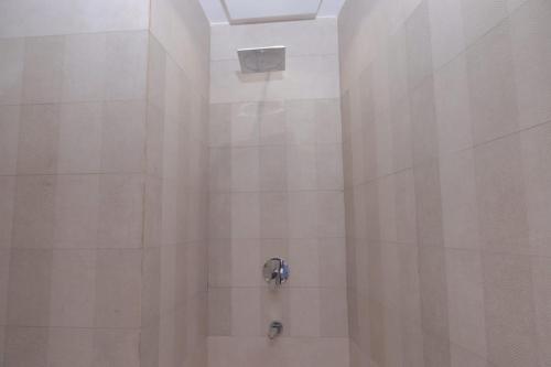 LDS Mall Luxurious Penthouse - Jhangにあるバスルーム