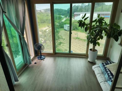 江陵市にあるGangneung Blue Fragranceのソファと植物と窓のある部屋