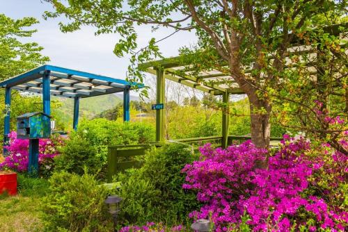 a garden with pink flowers and a blue structure at Pyeongchang Zermatt Pension Family, Couple in Pyeongchang 