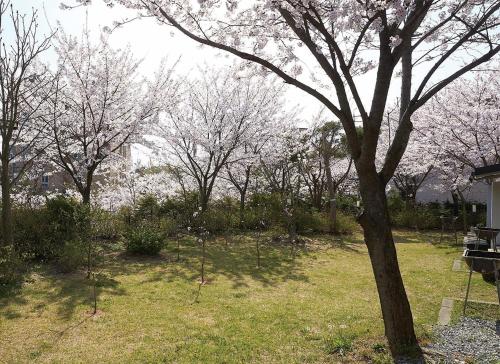 Zahrada ubytování Whity pension