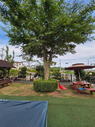 a tree with a picnic table and a red chair under it at Taean loghouse pension in Taean